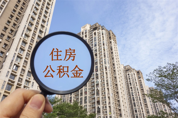 东方离职后公司不给转公积金怎么办（离职后公司不给转社保怎么办）
